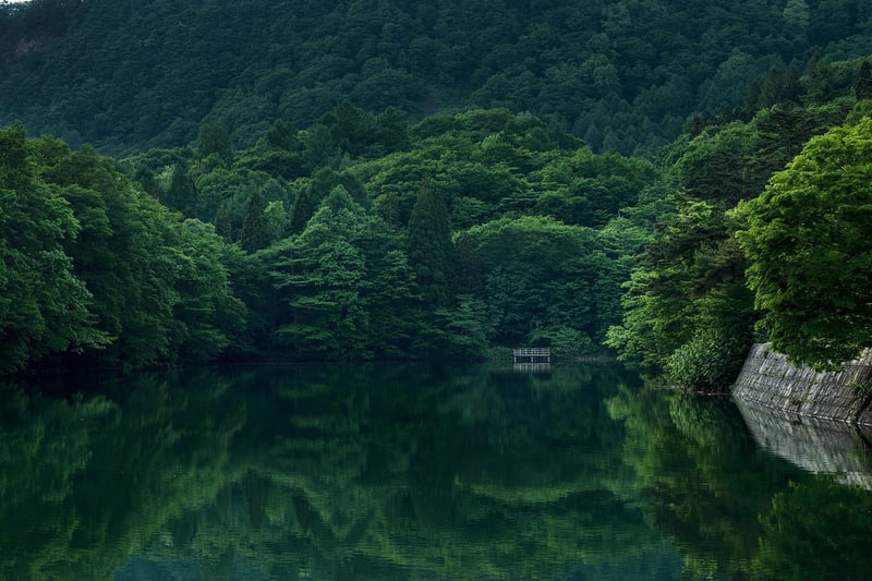 Diverse Setting